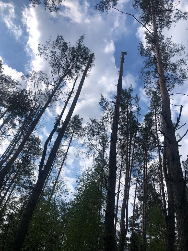 Росіяни продовжують підступно гатити по прикордонню Чернігівщини
