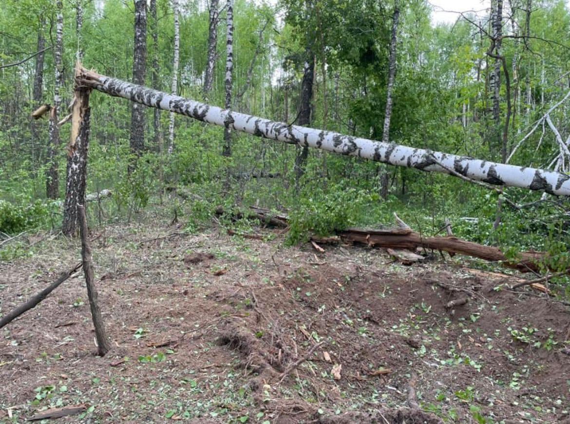 Ворог продовжує обстріли прикордоння Чернігівщини та Сумщини