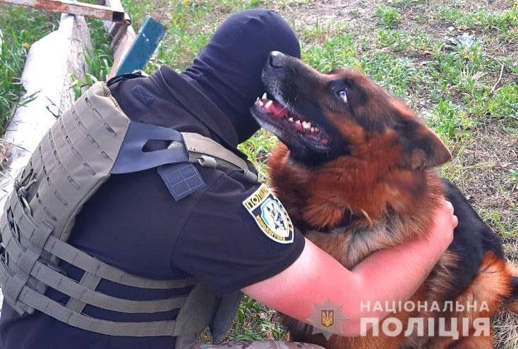Рівненські кінологи допомагають розміновувати Київщину