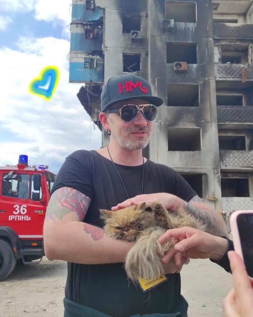 кіт у бучі