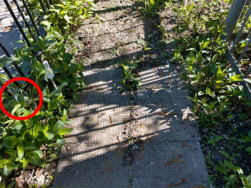 окупанти замінували 2