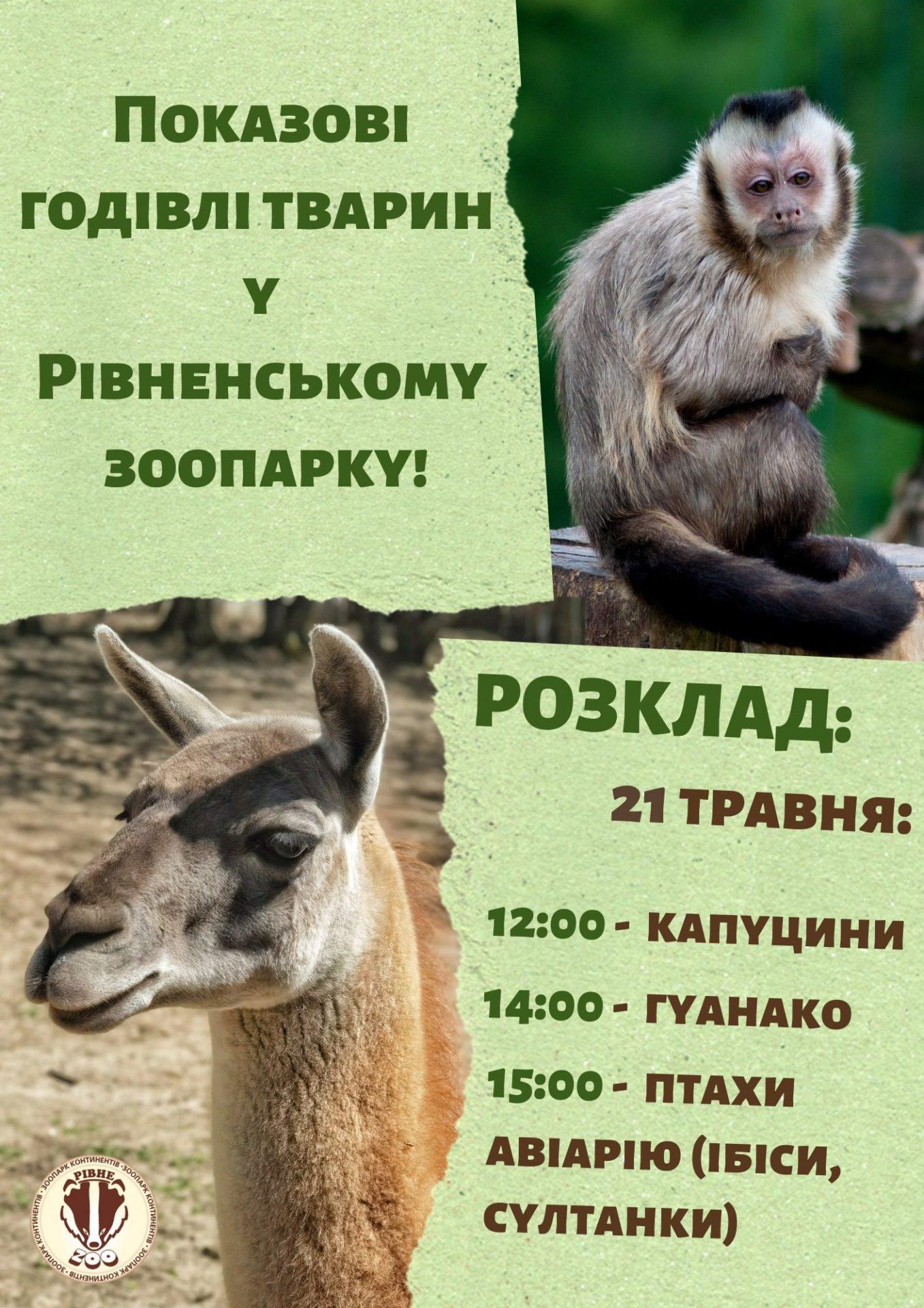 Рівненський зоопарк запрошує на показові годівлі тварин