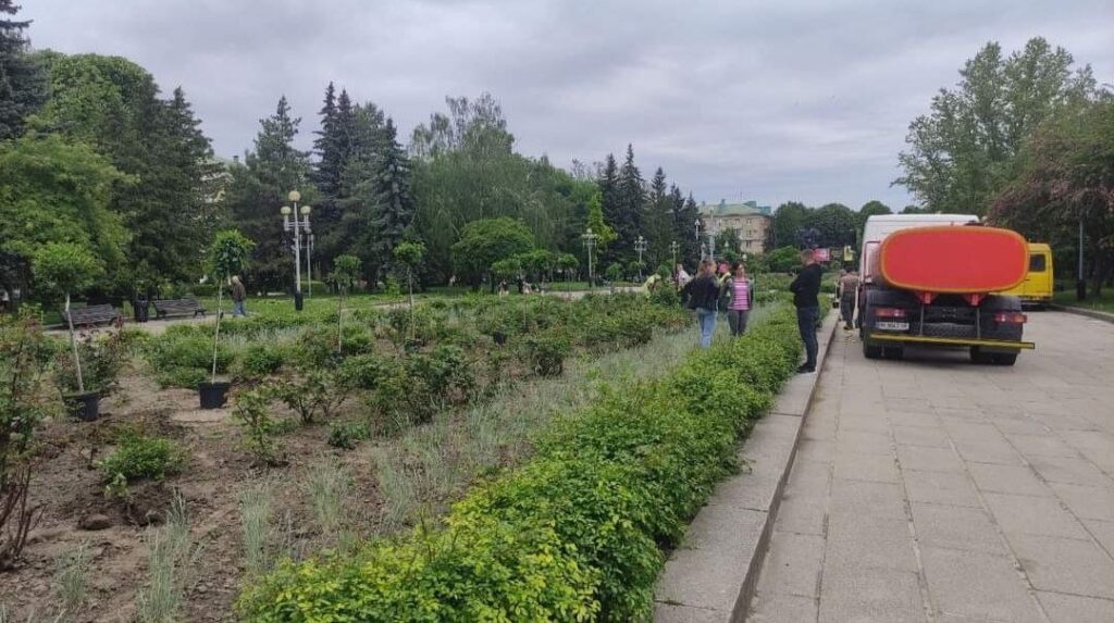 рівне чайчина алея