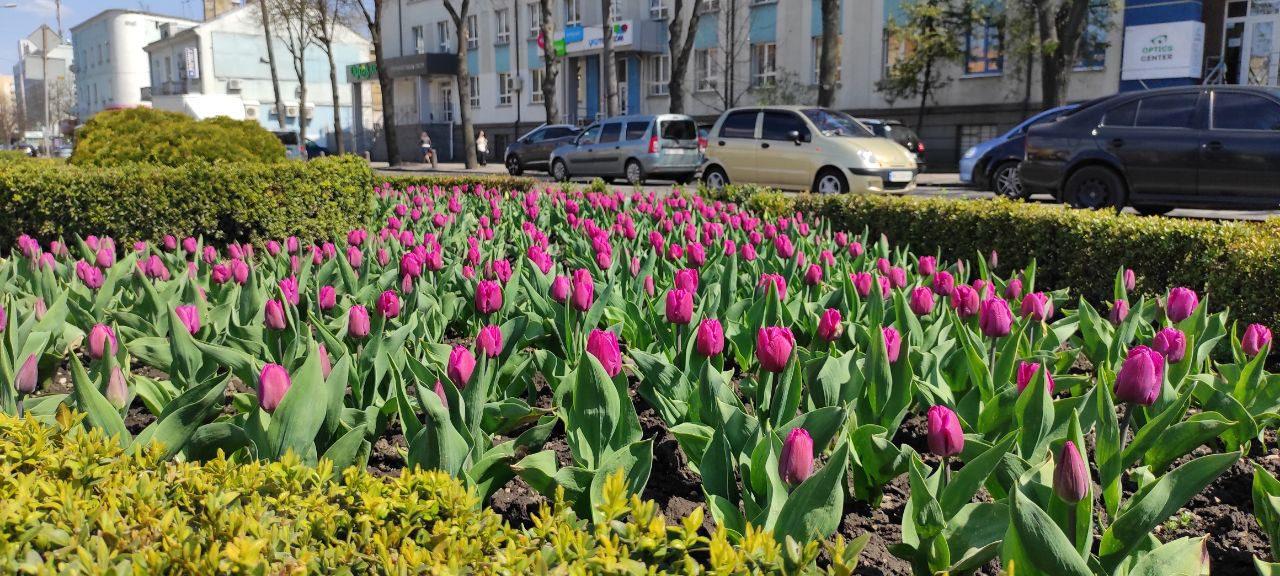 2 травня 2022, яке сьогодні свято: традиції і прикмети