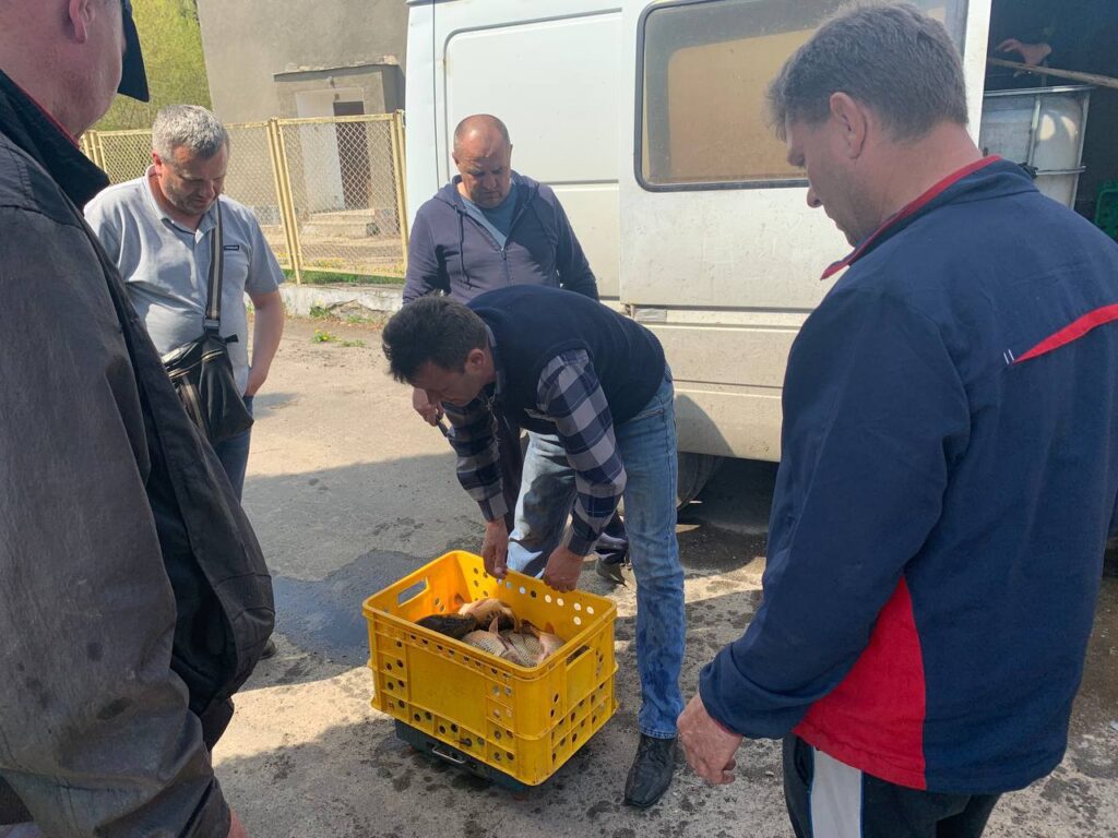 рівне водоканал зариблення