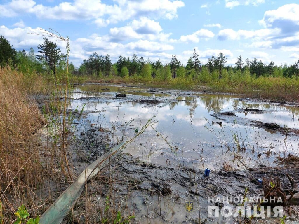 сарненський район бурштин