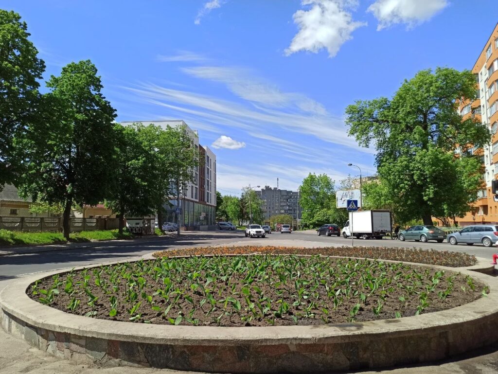 тексильник рінве квіти