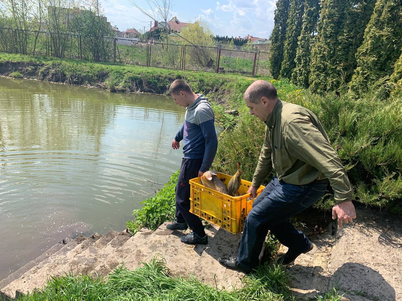 На ставу Рівнеоблводоканалу працівники підприємства провели зарибнення