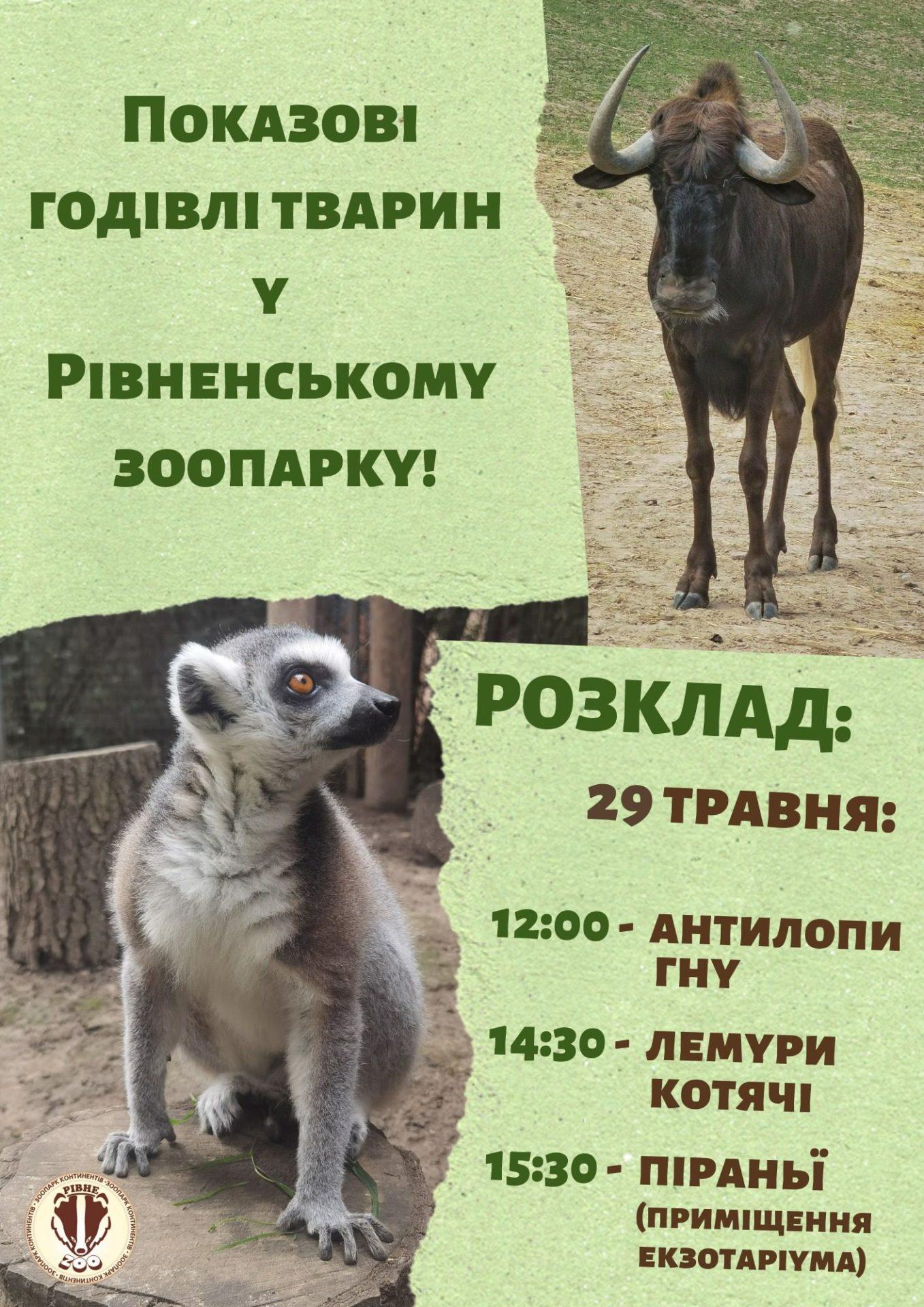 Рівнян запрошують у зоопарк на показові годівлі тварин