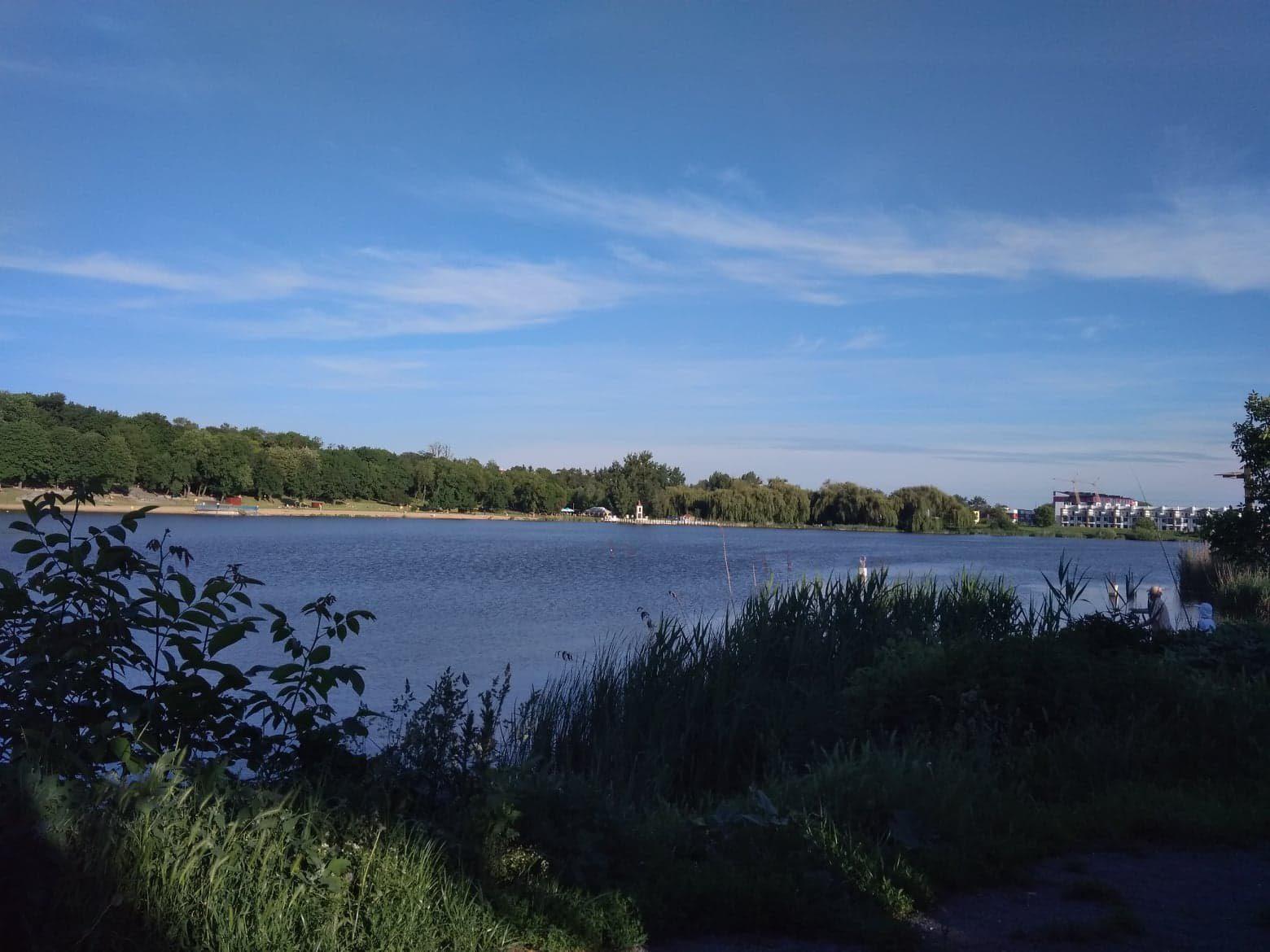 У воді Басівкутського озера знайшли лямблії