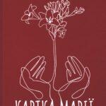 Молодий письменник подарував рівненській бібліотеці книжку