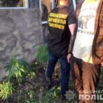 У рамках операції «МАК» поліцейські відкрили 36 кримінальних проваджень