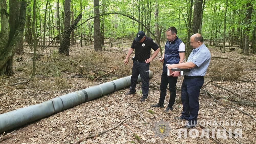ракета в лісі на житомирщині