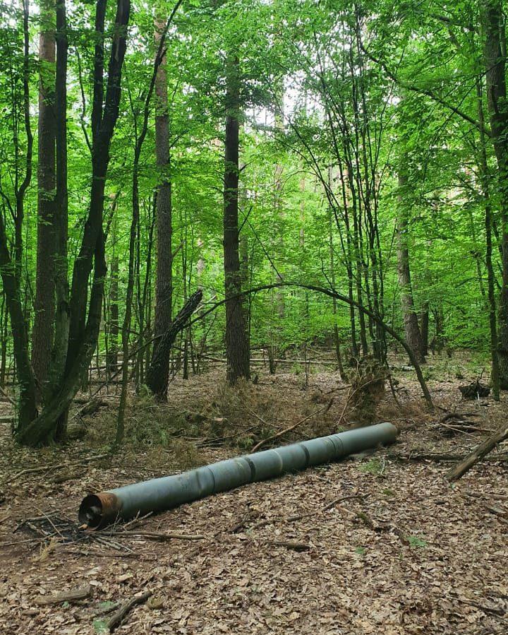 На Житомирщині в лісі знайшли ракету