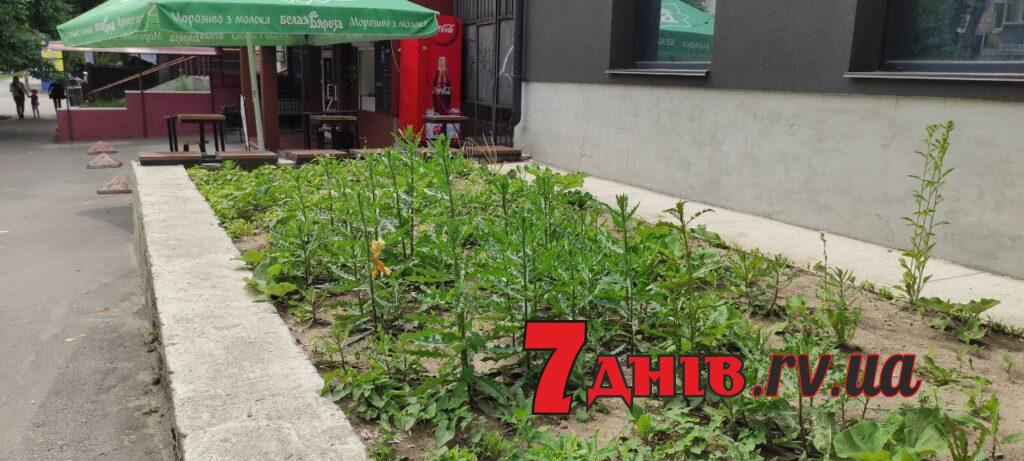 рівне вулиця Гагаріна