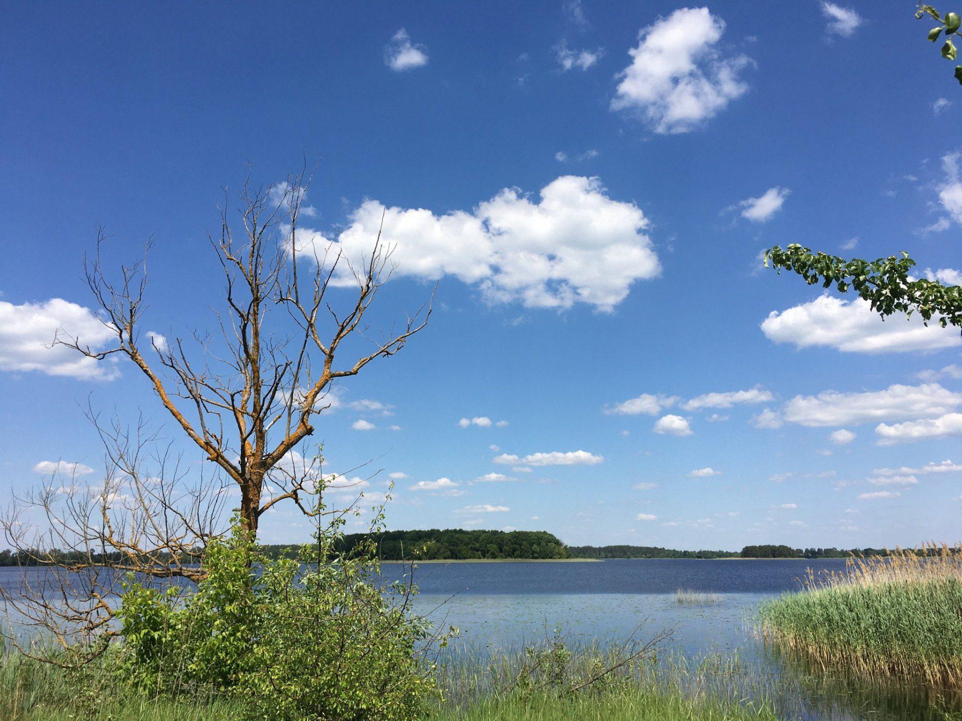 Екологи показали унікальну природу національного природного парку на Поліссі (+ФОТО)