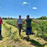 Григорій таргонський