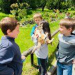 діти-переселенці рівне