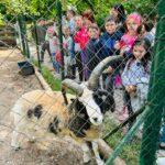 діти переселенці рівне 3