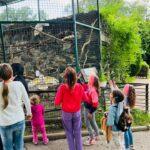 діти переселенці рівне 4