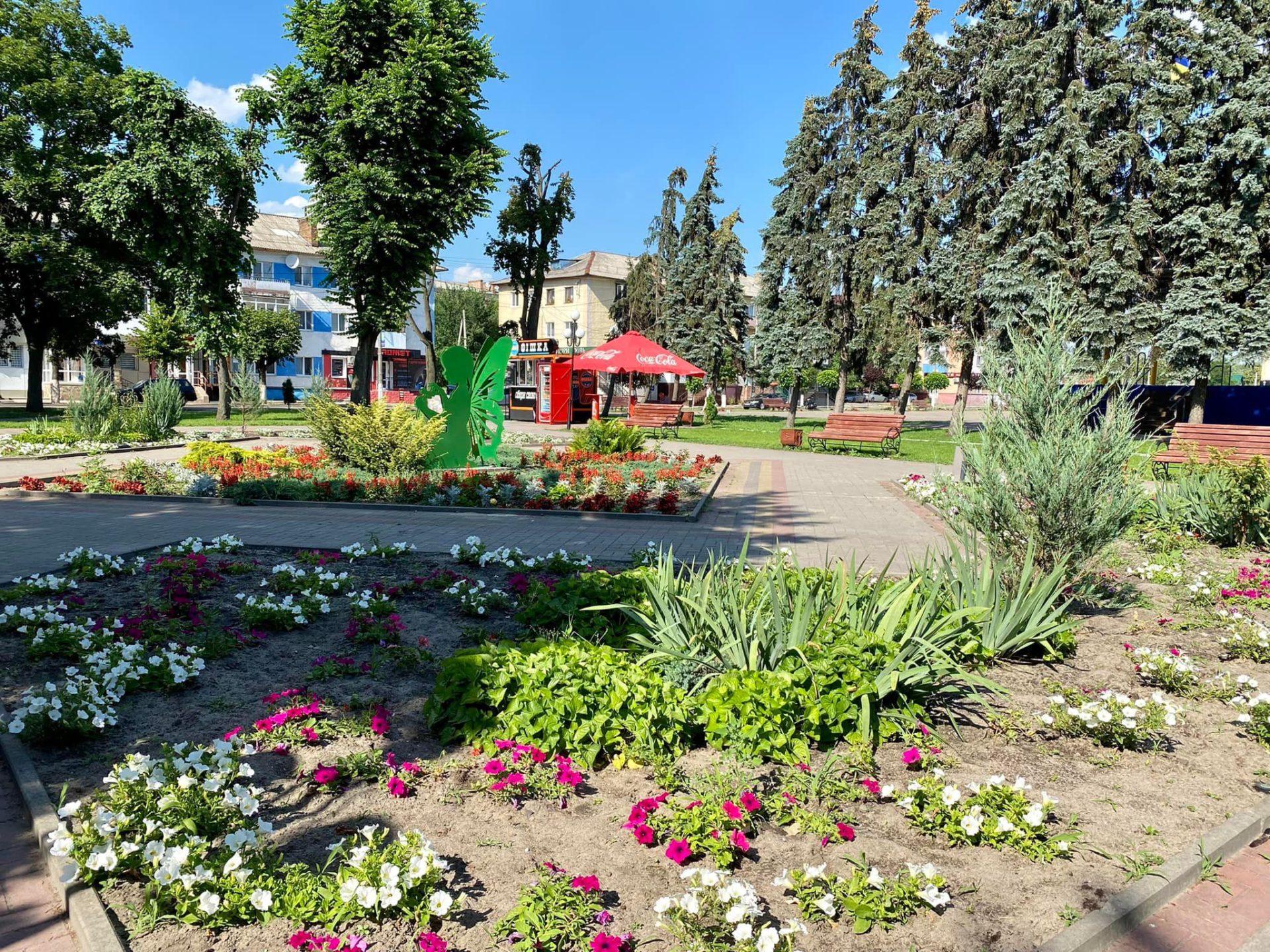 Квітучі Сарни: комунальники показали, як доглядають за клумбами і газонами (+Фото)
