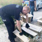 На Рівненщині знищили плантацію коноплі