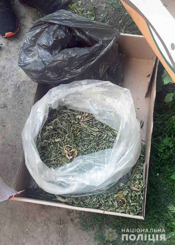 У Рівному судитимуть трьох учасників наркотрафіку до СІЗО