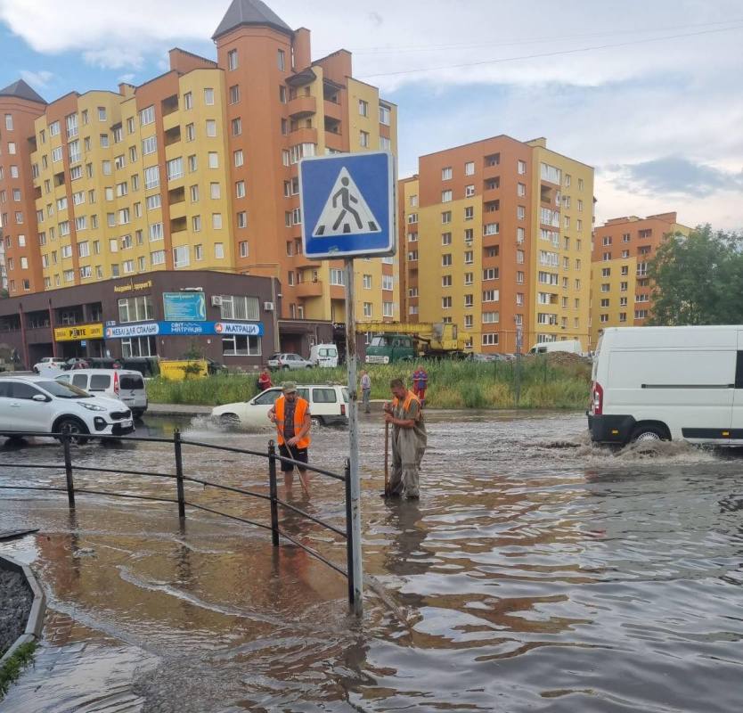 Буревій повалив дерева у Тернополі (фото)