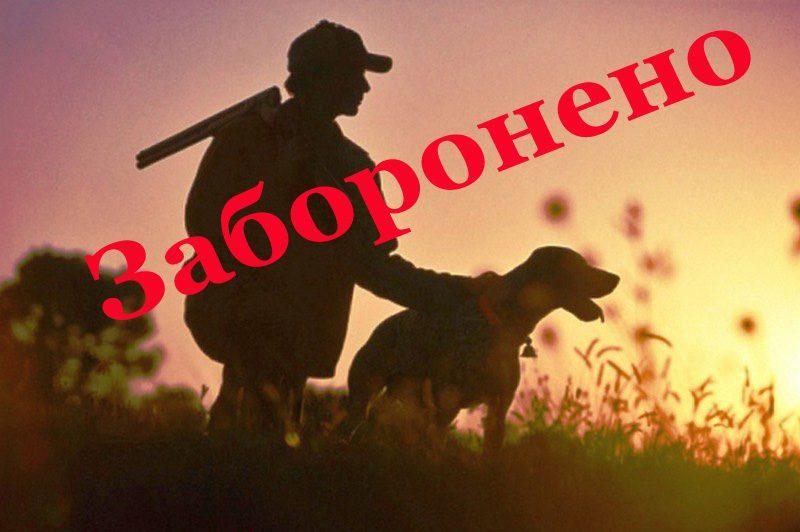 На Рівненщині заборонили полювання