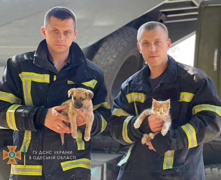 рятувальники білгород дністровський