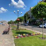 газони у Сарнах