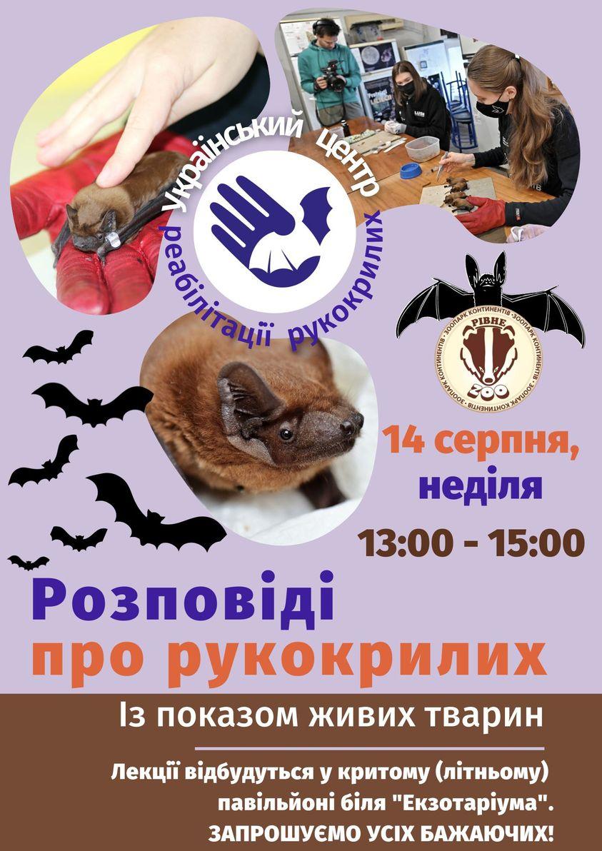 У Рівненському зоопарку навчатимуть, як рятувати кажанів