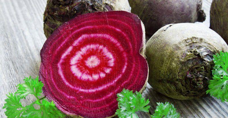 Звідки в буряку білі кільця Звідки в буряку білі кільця