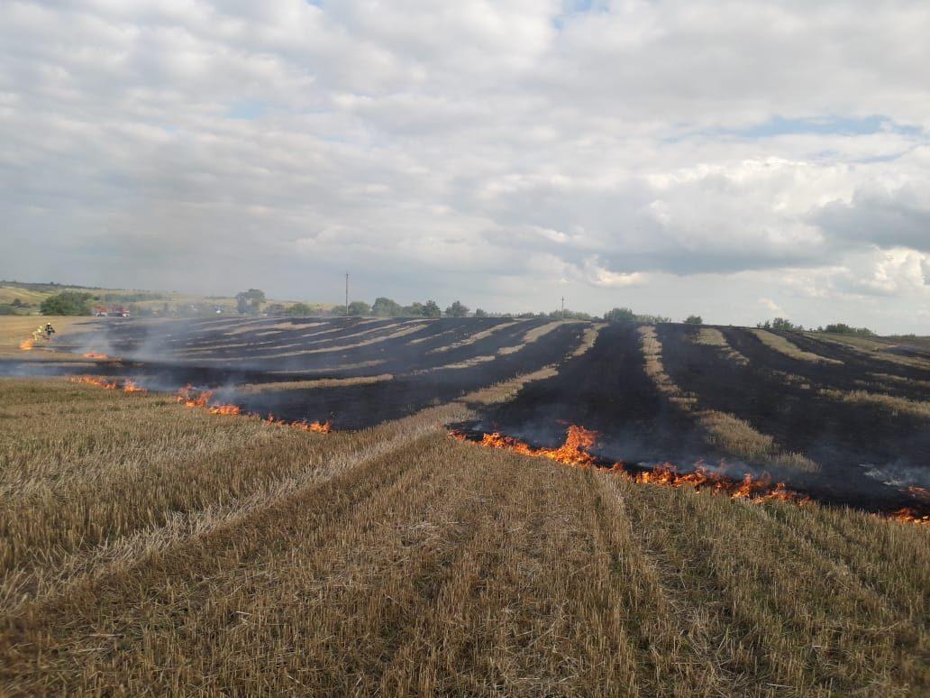 За добу рятувальники Рівненщини ліквідували шість пожеж