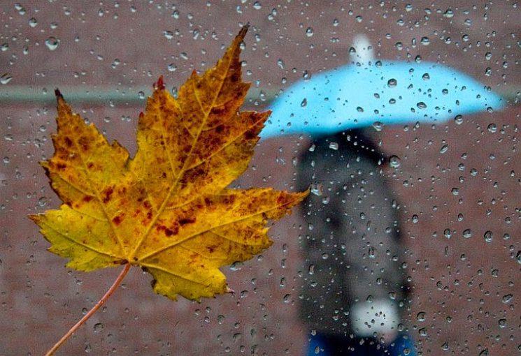 Погода на Рівненщині: вдень до +20º, ночі без заморозків