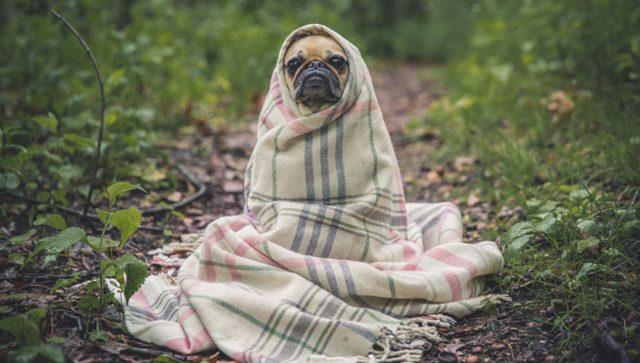 На Рівненщині очікується різке зниження температури повітря вночі 2 вересня, – прогноз синоптика