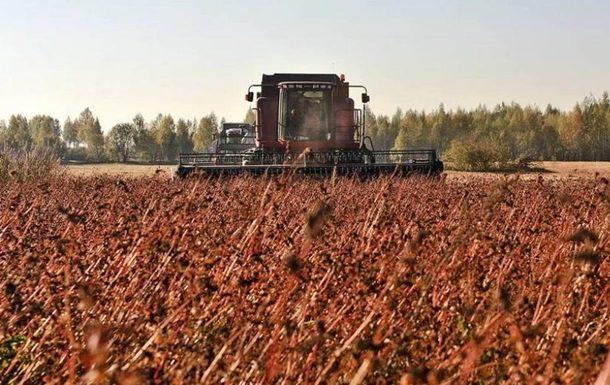 Рівненщина збирає врожай гречки