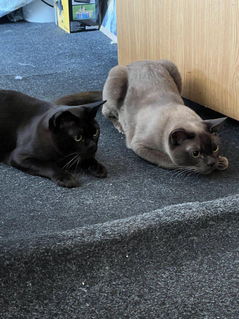 поїздки рівненського волонтера Україною2