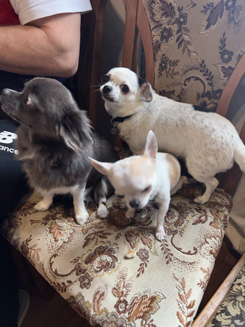 поїздки рівненського волонтера Україною3