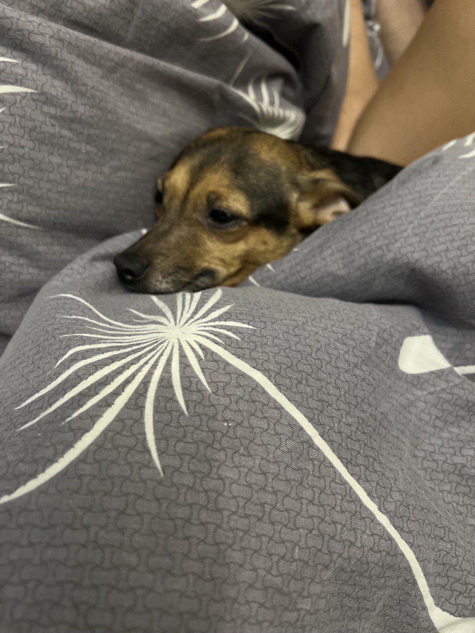 поїздки рівненського волонтера Україною8