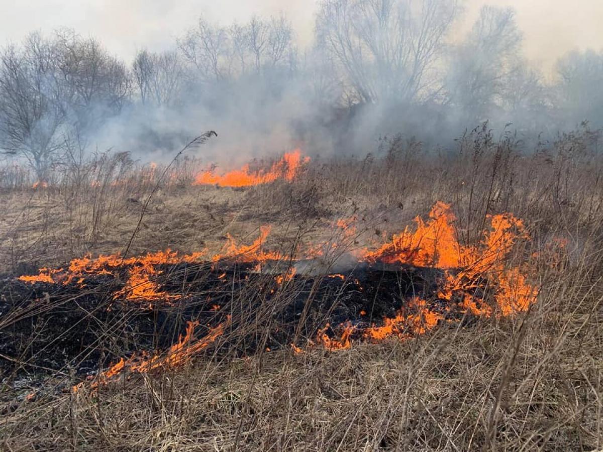 Понад 150 гектарів знищено на Рівненщині паліями