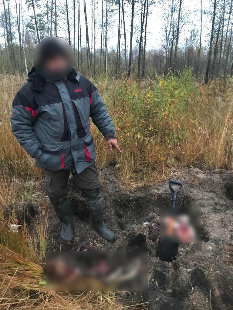 На Рівненщині чоловік полював на “червонокнижного” лося