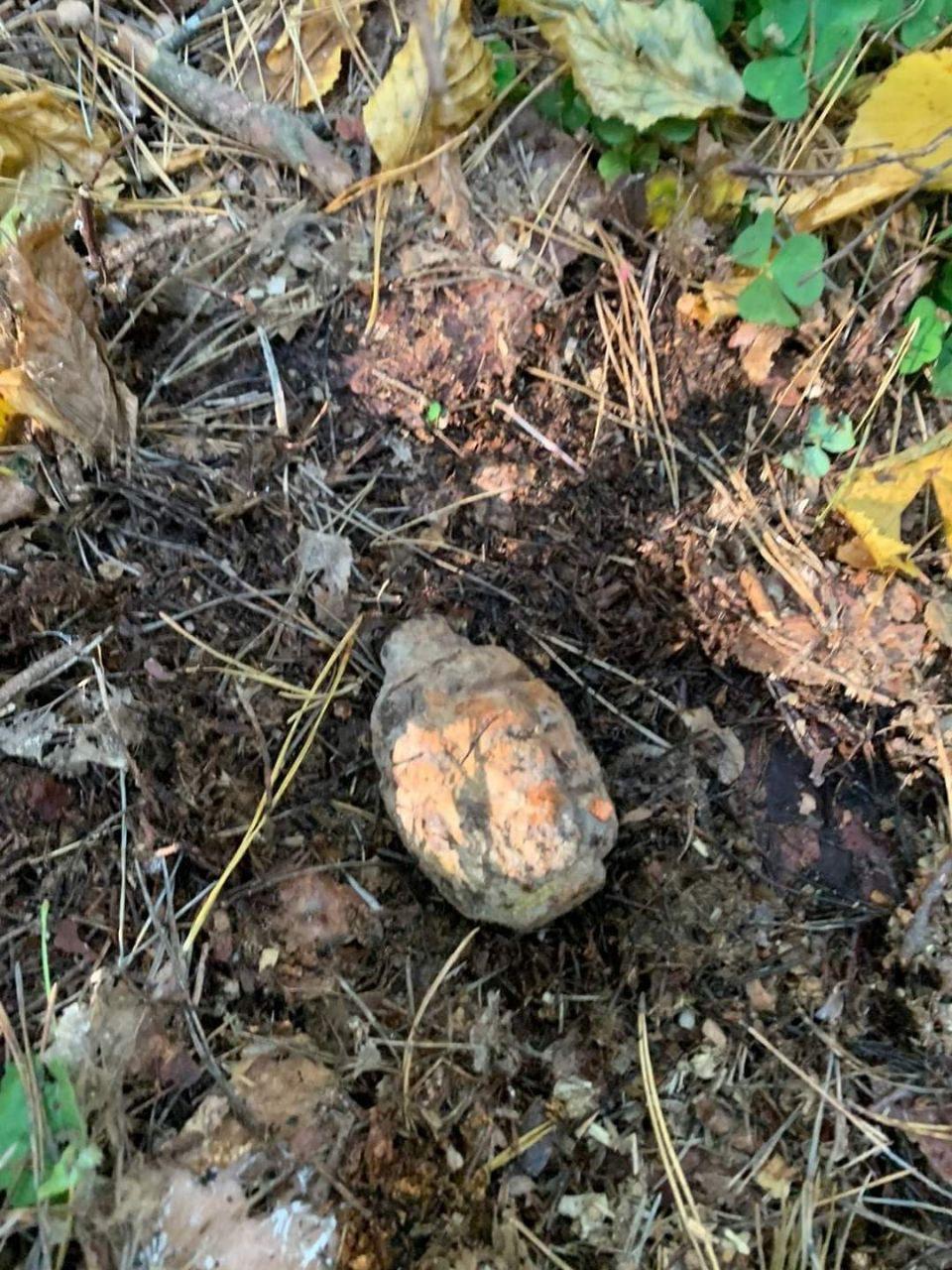 На Рівненщині саперами ГУ ДСНС було знищено ручні гранати