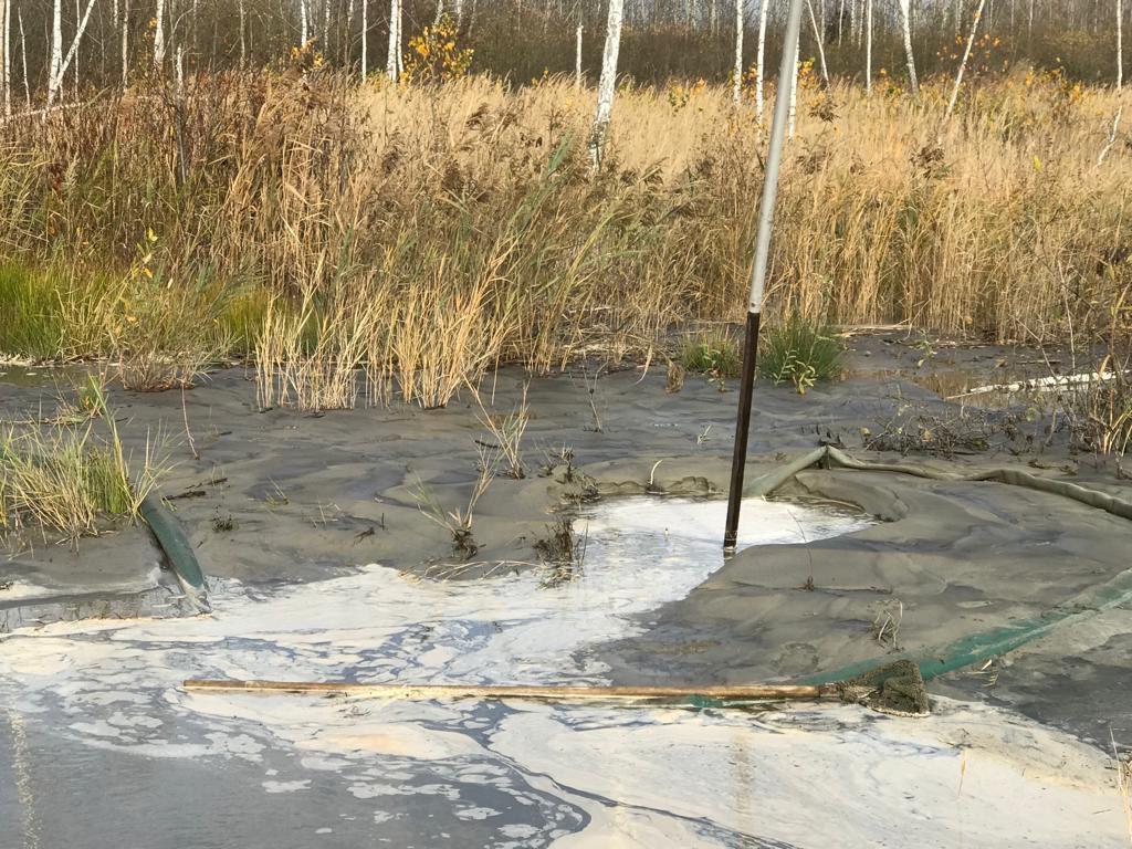 На Рівненщині виявили місце незаконного добування бурштину