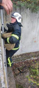 рятуванняпса