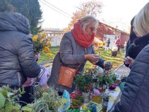 312985550_1445413359279823_3337581396264639274_n