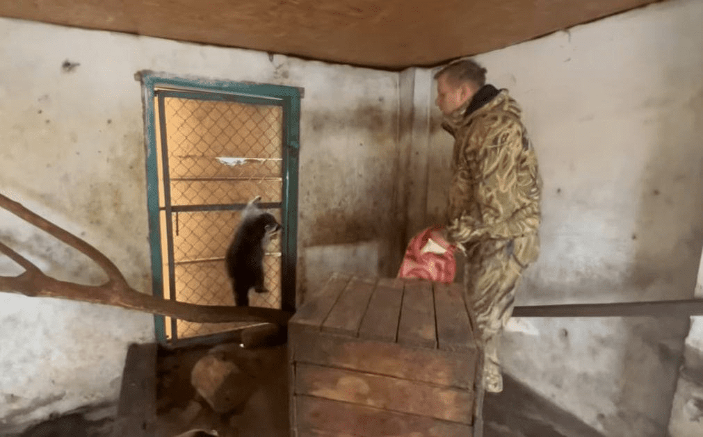 Окупанти викрали з Херсонського зоопарку майже всіх тварин