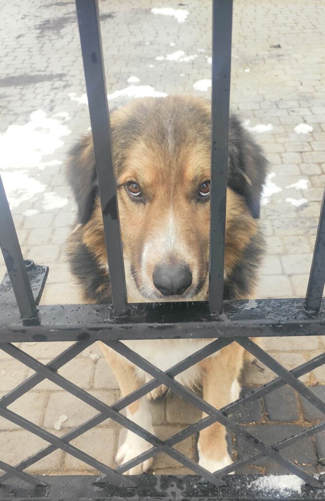 як знімає стрес кондитер
