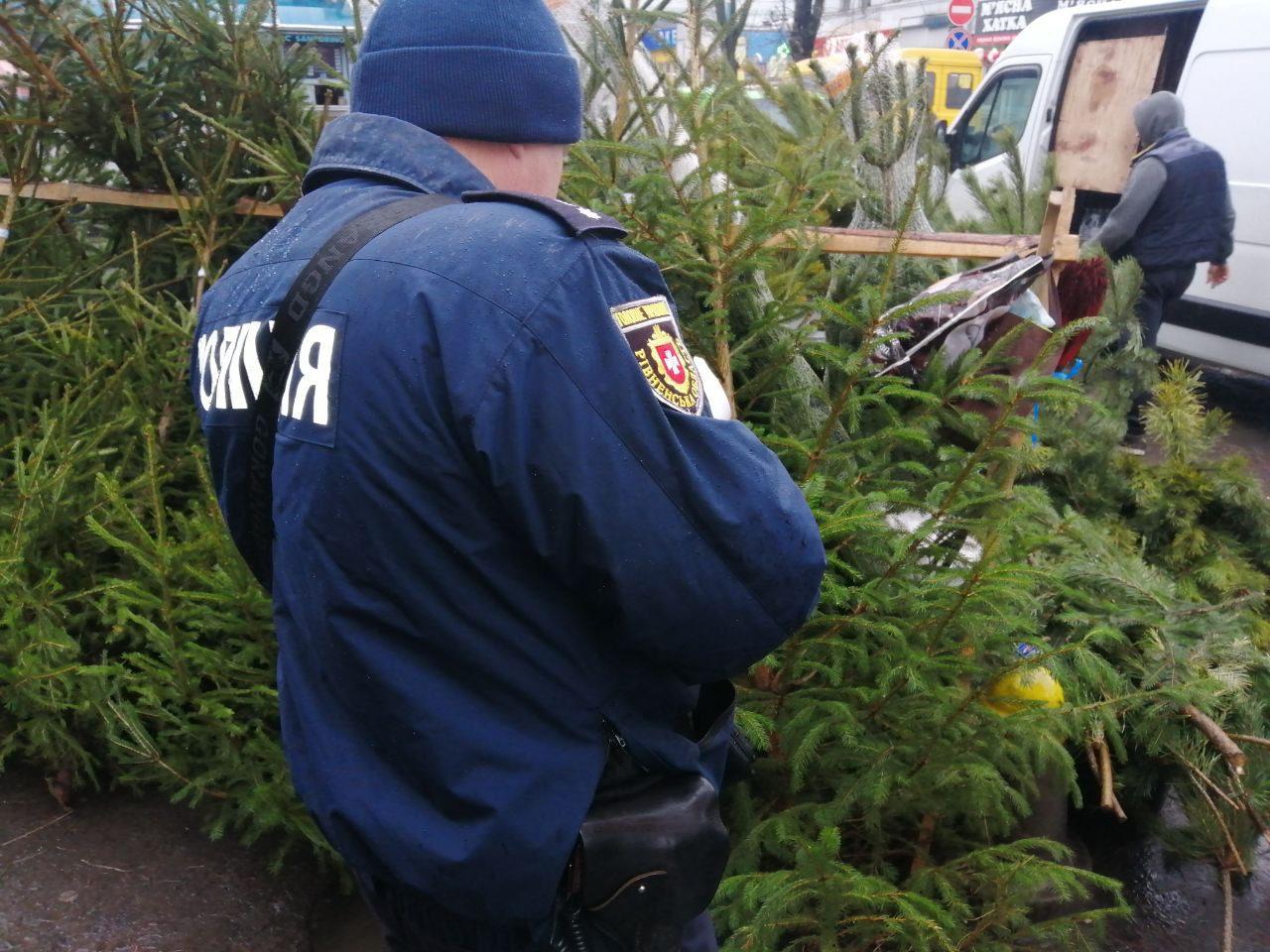 Поліцейські Рівненщини перевіряють «ялинкові базари»