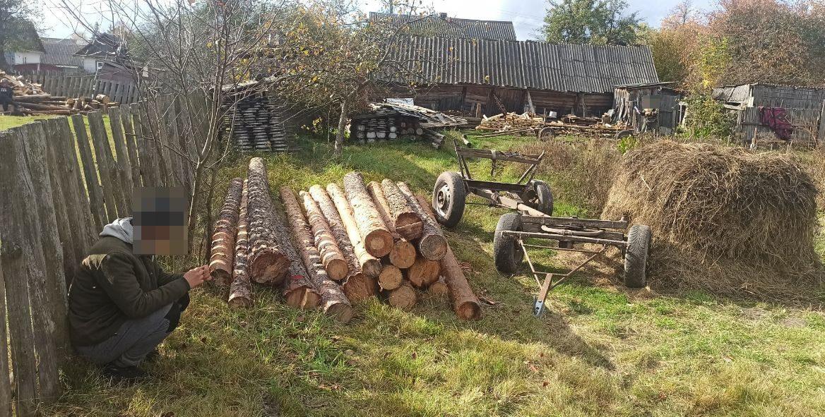 За самовільну вирубку